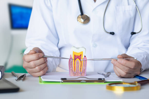 Best Pediatric Emergency Dentist in Fullerton, PA